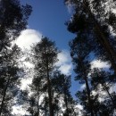 Himmelblau