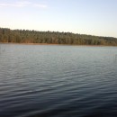 Morgenstimmung am See