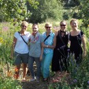 Fünf fröhliche Blumen im Garten